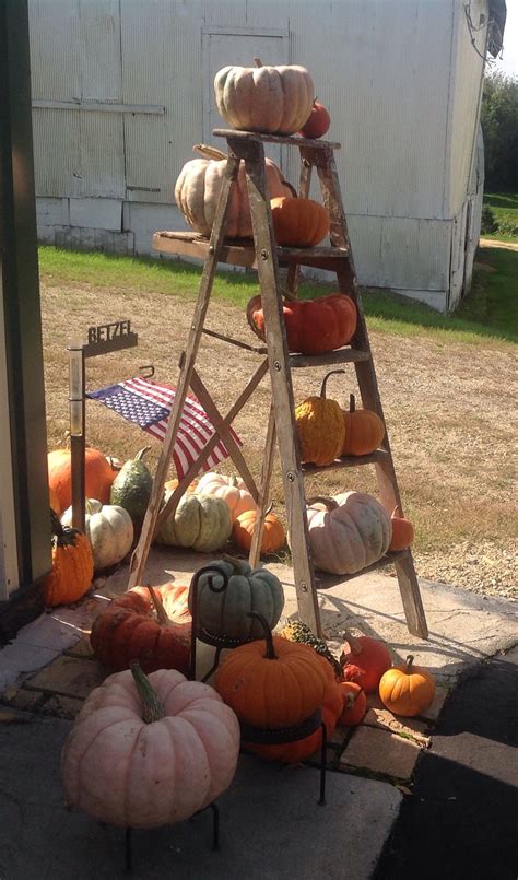 This Is The Pumpkin Display I Made Using An Old Wooden Stepladder And