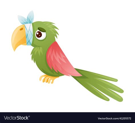 Sick Parrot Bird Sad Exotic With Bandage Vector Image