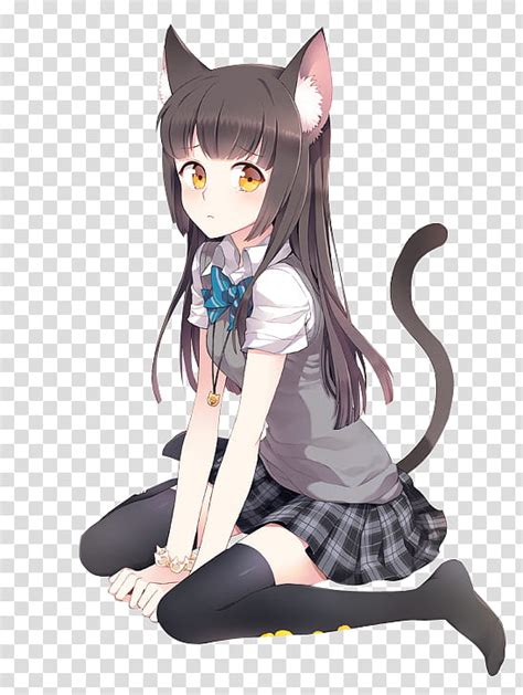 Anime Cat Girl Anime Illustration Transparent Background Png Clipart