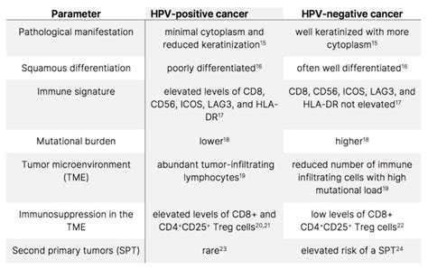 Key Differences Between Hpv And Hpv Head And Neck Squamous Cell Carcinomas