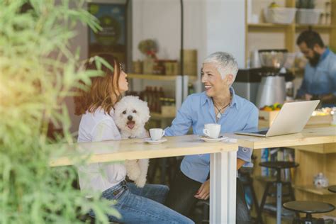 To register them, a letter from a therapist that confirms your emotional problems is necessary. Emotional Support Animal Requirements | Register My ...