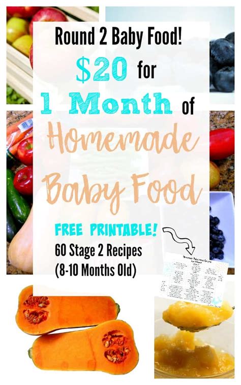 After you complete this plan, pat yourself on the back for use this resource guide for all 6 months of baby food! $20 for 1 Month of Stage 2 Homemade Baby Food- with Free ...