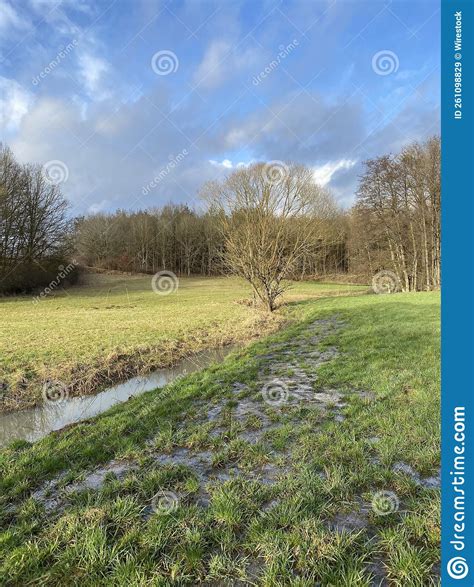 Natural View Of Greenfield And Forest After A Flood Stock Image Image