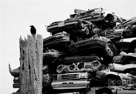 Crow Photograph By Kyle Rurak Fine Art America