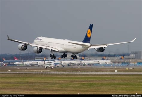 D Aihi Lufthansa Airbus A340 600 At Frankfurt Photo Id 885