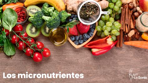 Los Micronutrientes Indispensables Para El Cuerpo Humano Sonia Saez