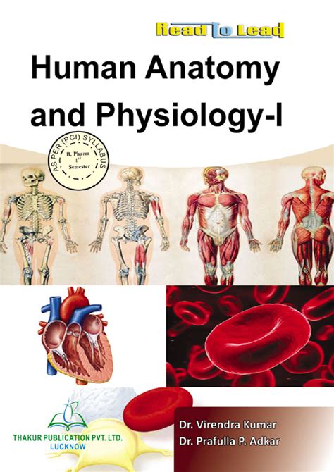 Fetch Anatomy And Physiology Of Human Body Free Images