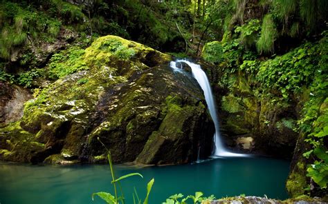 Rainforest Waterfall Wallpapers Wallpaper Cave