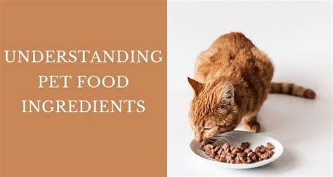 Dog food manufactures are required by the aafco to label their food appropriate to the set guidelines for each of these life stages if they should market their food in that way. Breaking Down Pet Food Ingredients | AAFCO breakdown