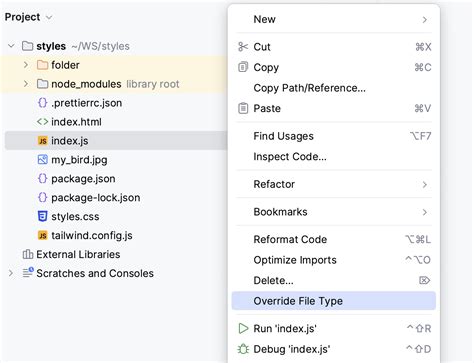 Configuring Project Structure Webstorm Documentation