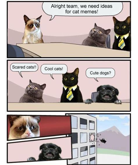 Team Grumpy Cat Scared Cat Business Cat Cute Dog Memes Tard The