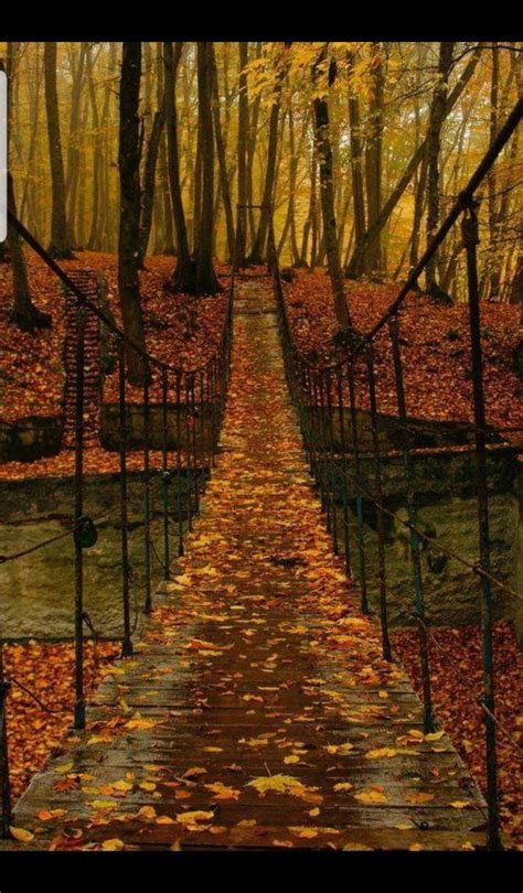 Pin By Julie Fenn On Autumn Splendor Autumn Scenery Scenery Nature
