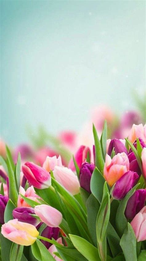 Blurry Spring Wallpapers Top Free Blurry Spring Backgrounds