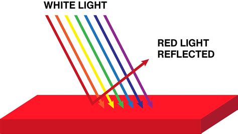 The Truth About Color — Downtown Vision Optometrist Reno And Carson City
