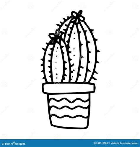 Hand Drawn Doodle Cacti In Pot Vector Decorative Indoor And Office