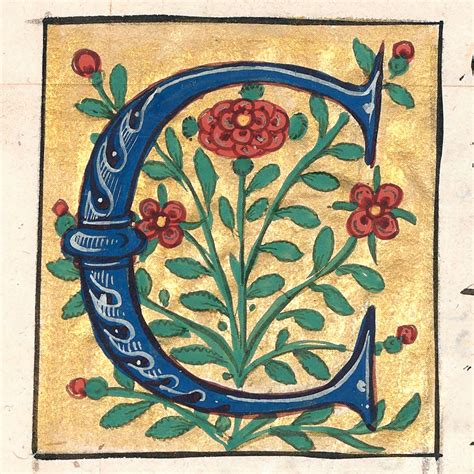 Roses Folia Art De Lettrage Enluminure Moyen Age Lettrine