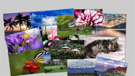 50 Themes Live Wallpaper Pc Download Wallpapersafari