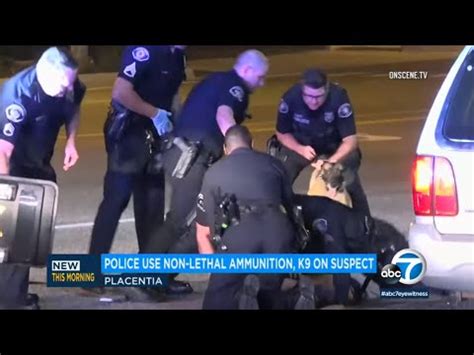 Police Deploy Rubber Bullets Tear Gas K 9 Unit After Chase Ends In