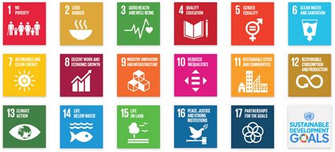 What are the Sustainable Development Goals? - SDGs Center | Universitas ...