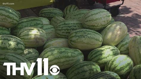 Eight Things You May Not Know About Watermelons 44 Off