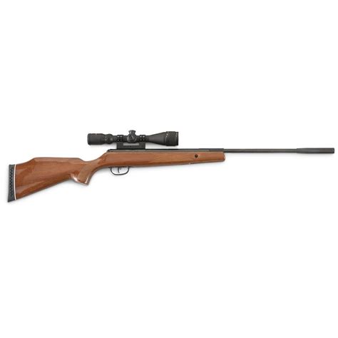 Crosman® Remington® Summit 22 Cal Air Rifle With Scope 221945 Air