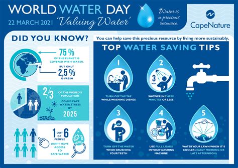 Infographic Water Saving Tips And Valuing Water Capenature