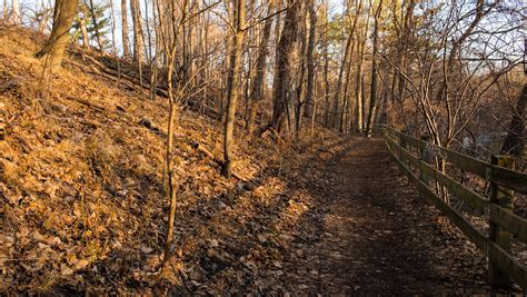 Lawrence Park Ravine Winter Walk Pjmixer Flickr