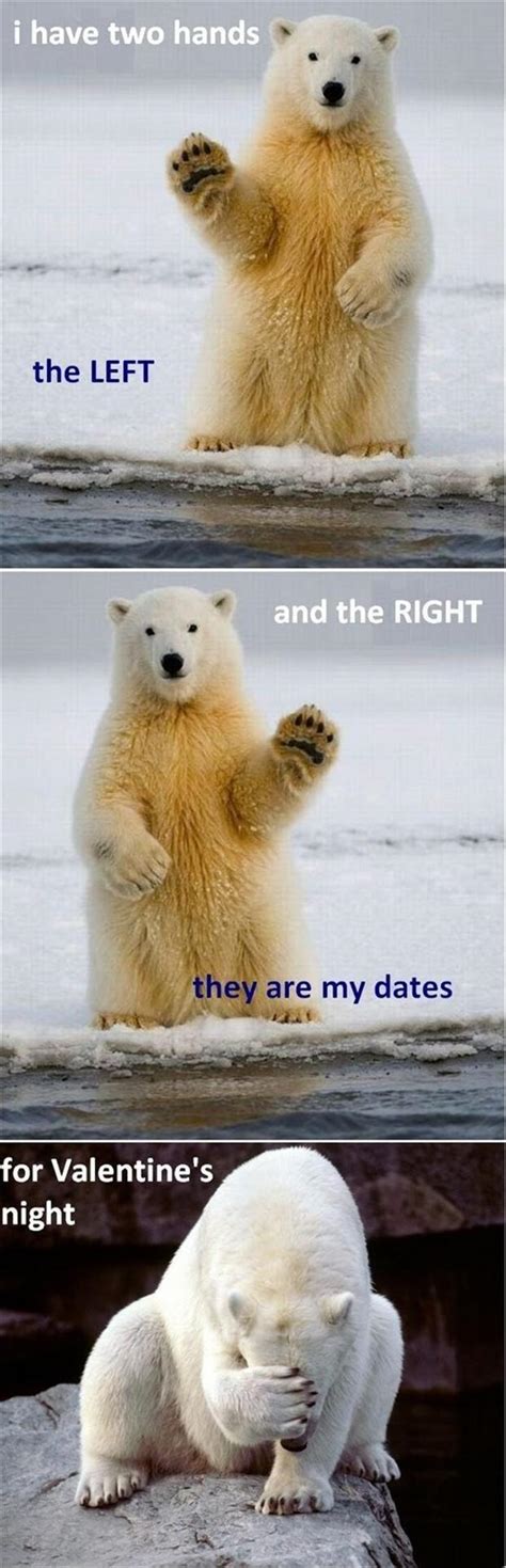 Funny Valentines Day Pictures - 25 Pics