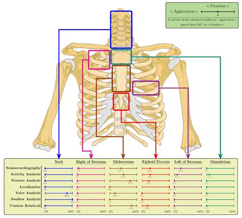 Diagram Of Chest Area ~ Anatomy Of The Breast Memorial Sloan Kettering
