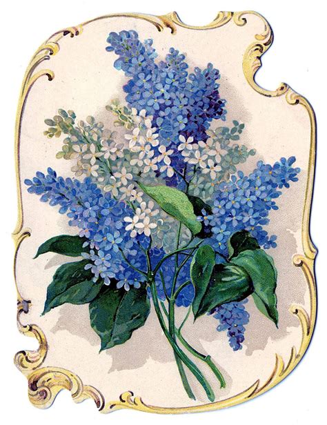 12 Victorian Scrap Flowers The Graphics Fairy