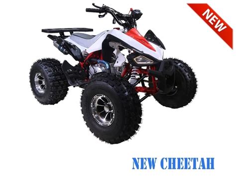 Taotao 125cc New Cheetah Mid Size Atv Automatic With Reverse Air