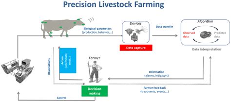 Animals Free Full Text Precision Livestock Farming What Does It