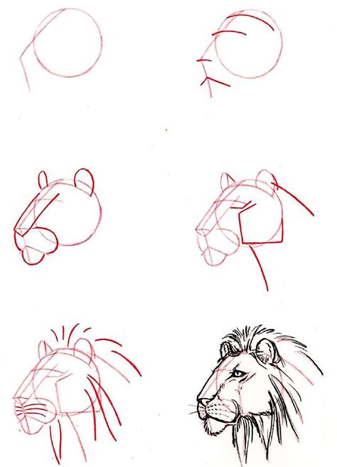 • 548 просмотров 2 года назад. Free How To Draw A Lion Step By Step, Download Free Clip Art, Free Clip Art on Clipart Library