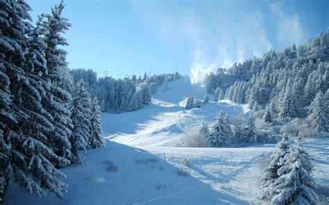 Wallpaperwiki Beautiful Winter And Snow Hi Res Pic