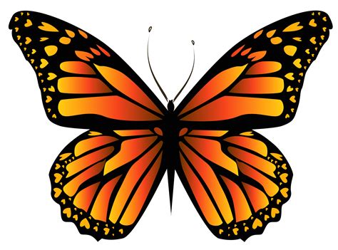 Orange Butterfly PNG Clipar Image | Butterfly clip art, Yellow butterfly, Butterfly art