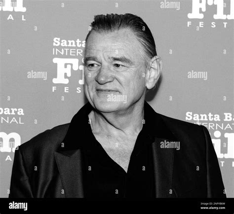 SANTA BARBARA, CALIFORNIA - February 16, 2023: Brendan Gleeson attends