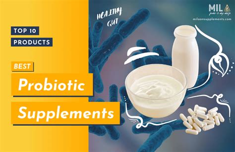Best Probiotics Supplements Top 10 Probiotics Brands Reviewed