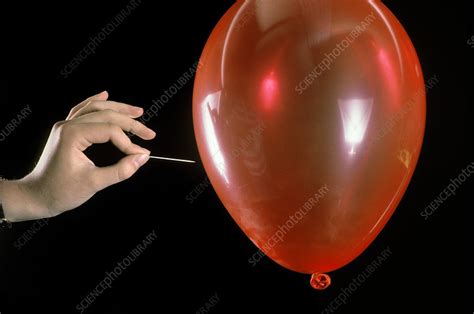 Popping A Balloon Stock Image C0279679 Science Photo Library