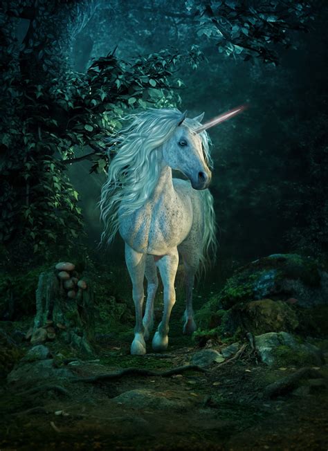 White Unicorn In Enchanted Dark Forest Wallpaper Wall Mural