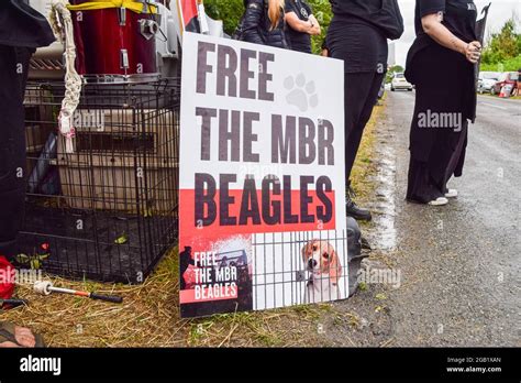 Huntingdon Uk St Aug A Free The Mbr Beagles Placard Is