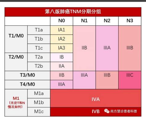 第八版肺癌分期分组表圈子 肺癌帮