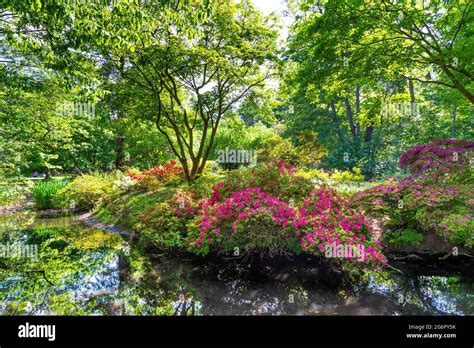 Woodland Garden High Resolution Stock Photography And Images Alamy