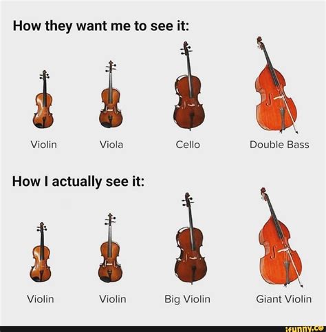 How They Want Me To See It Violin Viola Cello Double Bass How Actually See It Violin Violin