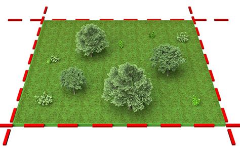 Hektar adalah ukuran panjang yang sering digunakan untuk mengekspresikan luas tanah. Berapa meter persegi dalam satu hektar?