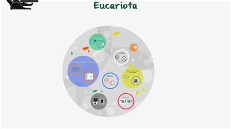 Estructura Del Cromosoma Eucariota By Alberto Elejalde