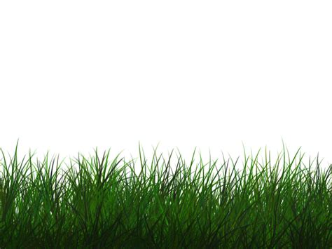 Free Transparent Grass Texture Seamless Png Nature Grass And Foliage