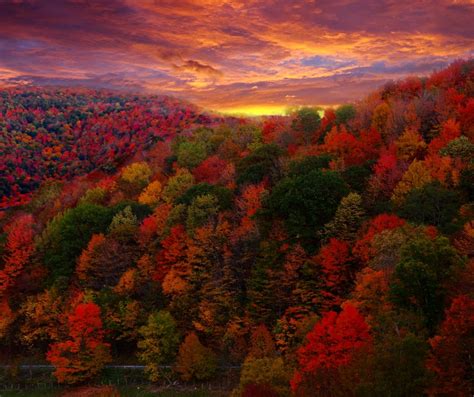 2017 Fall Foliage In Western North Carolina