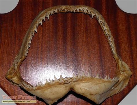 Jaws Sharks Jaws Replica Movie Prop