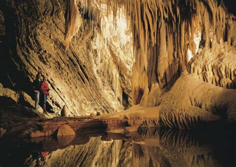 Mole Creek Caves And Creatures Day Tour Tasmania