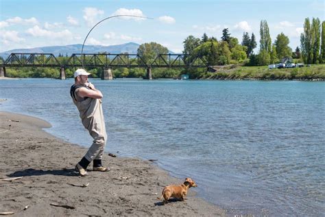 Four Day Closure Set For Fishing On Skagit River Local News
